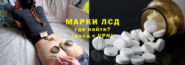 индика Балабаново