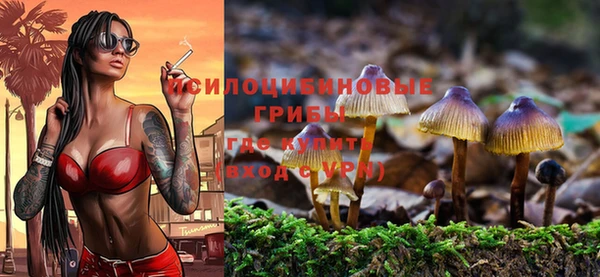a pvp Баксан